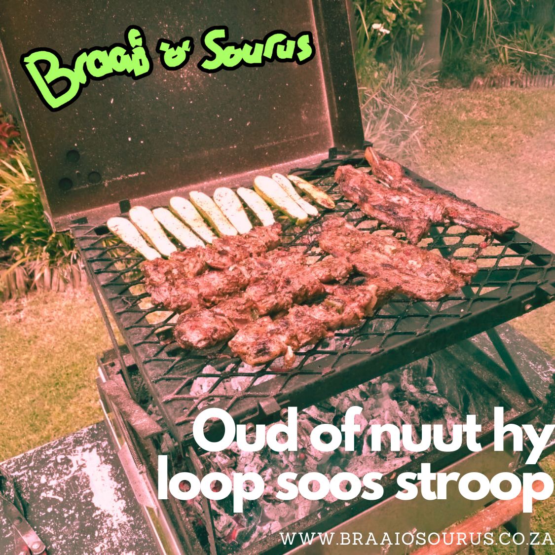 'n Braaiosourus braai met babamurgpampoentjies, skaap sosaties en bees rib rashers op die rooster