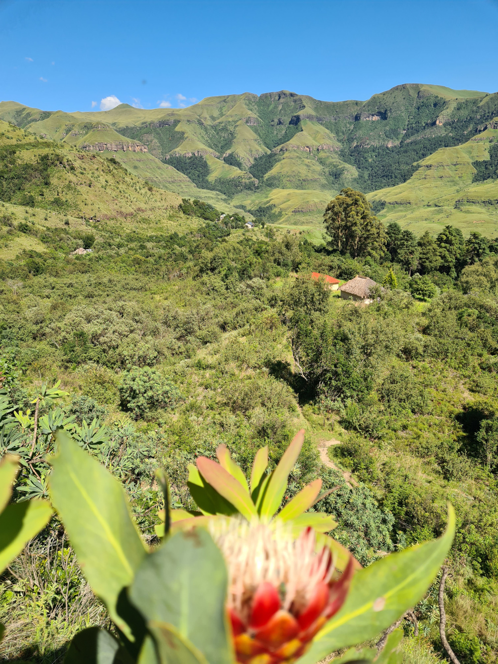 'n Braai by die kamp in die Drakensberg